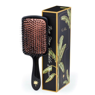 Fan Palm Paddle Brush Large Big Star - black with glitter